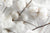 Royal Deluxe Breathable Cotton Dream Sheet Set